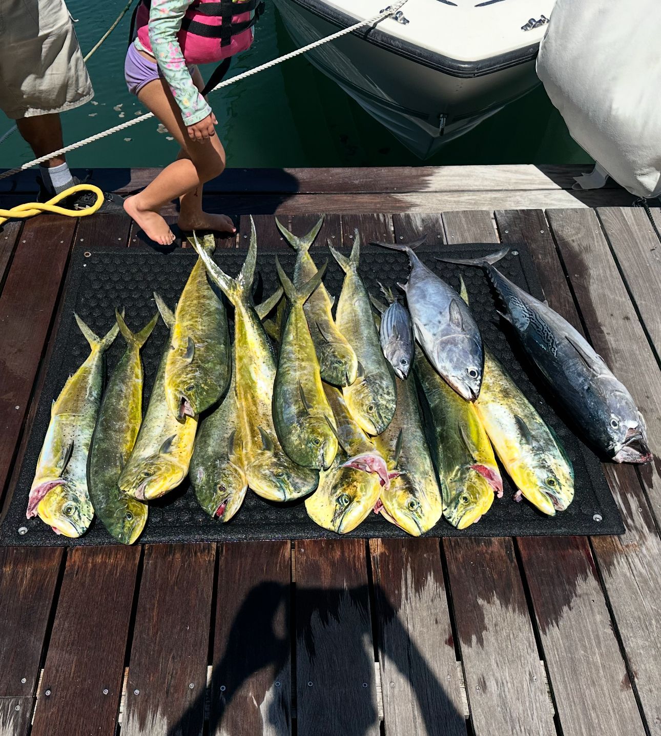 Freshly caught yellow and silver fish laid out on a dock beside a boat, with a person standing nearby