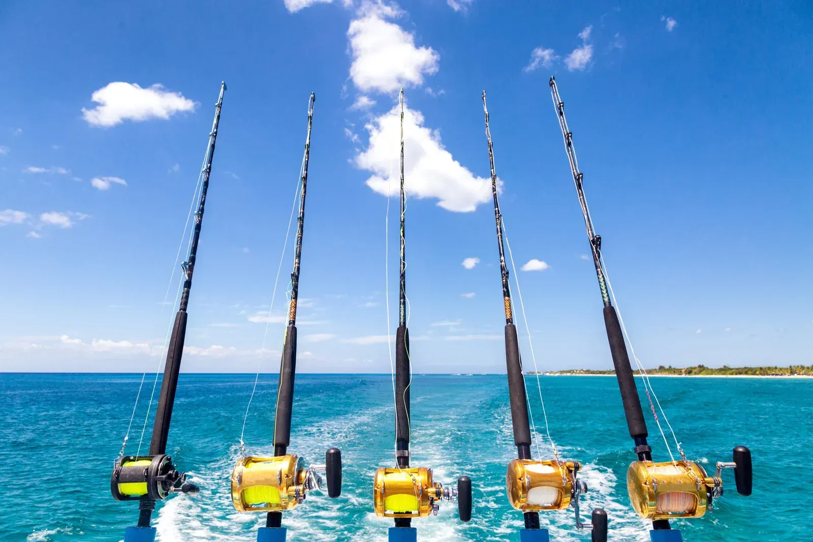 Five fishing rods on a boat pointed toward the ocean under a bright blue sky