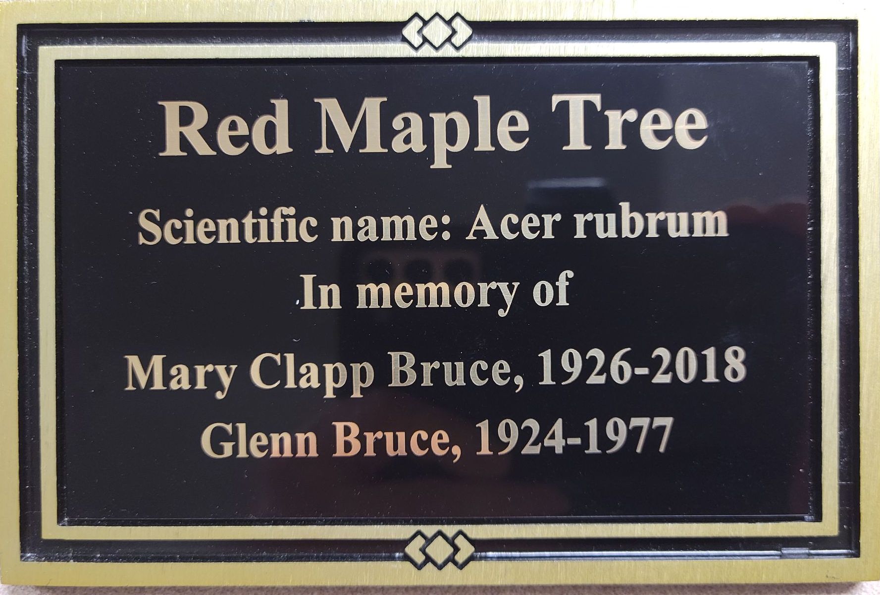 A black and gold plaque for a red maple tree