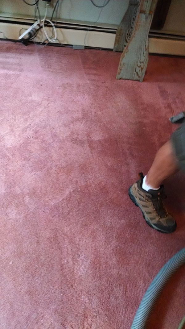 scottcarpetcleaners