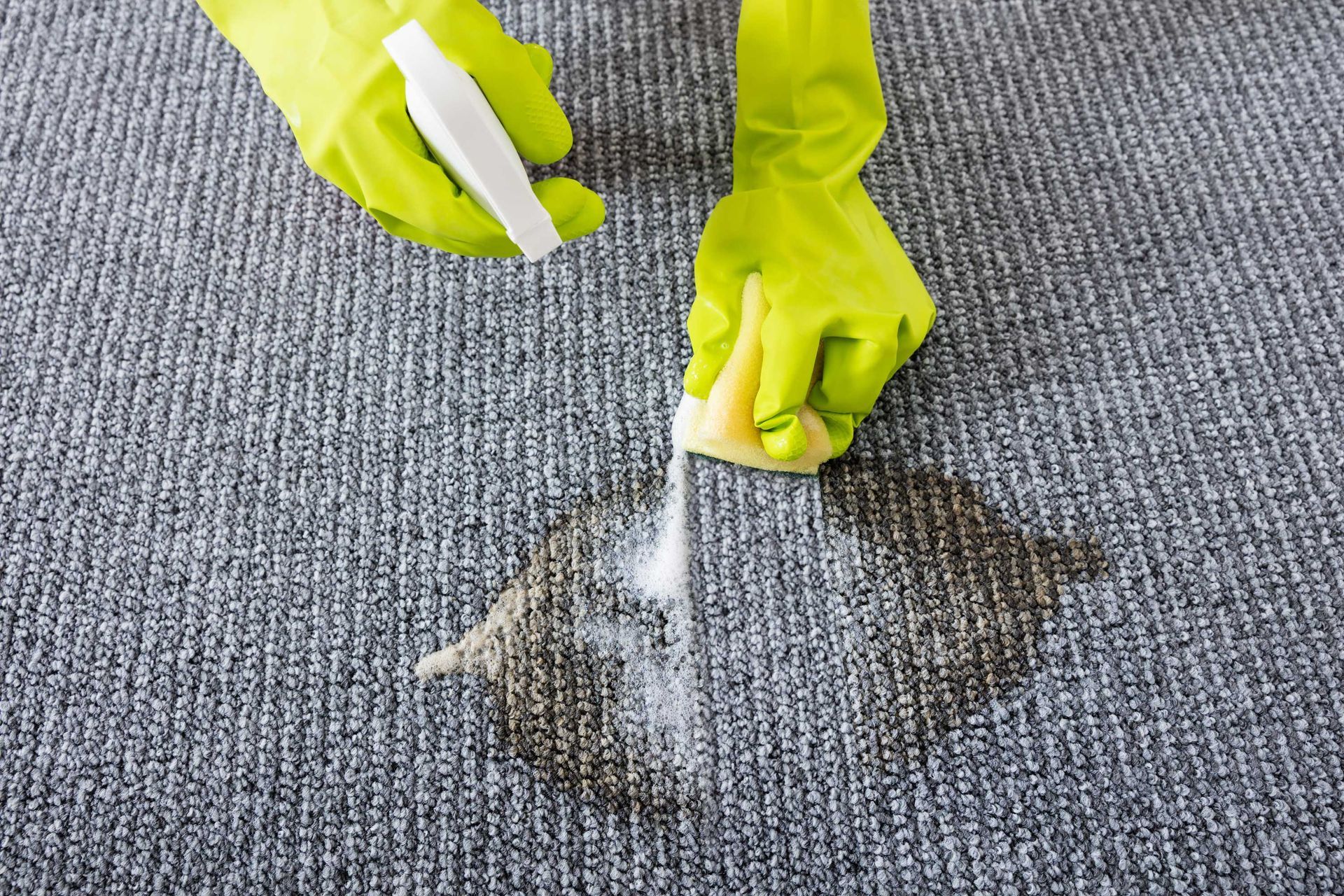 Gloved hands cleaning a gray carpet with a white cloth and spray bottle