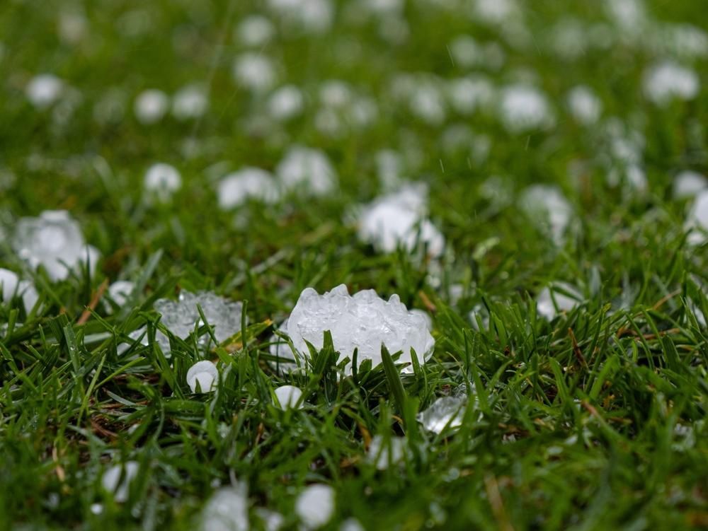 Closeup of large hail stones on ground