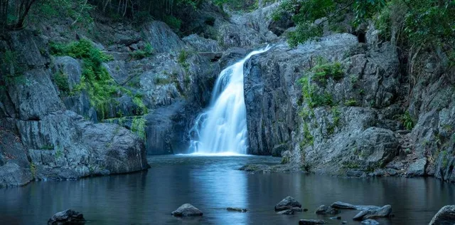 A Calm Pool Surrounded by Rocks and Lush Greenery — MDSR Group In Redlynch, QLD