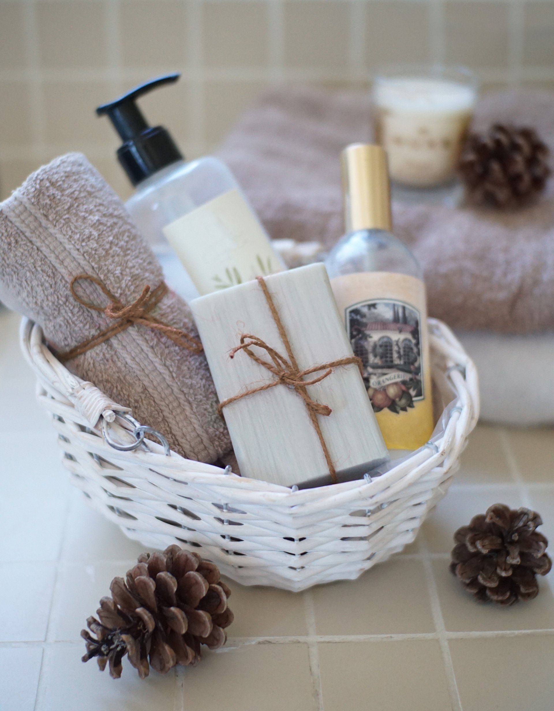 Soap and Moisturizer Set