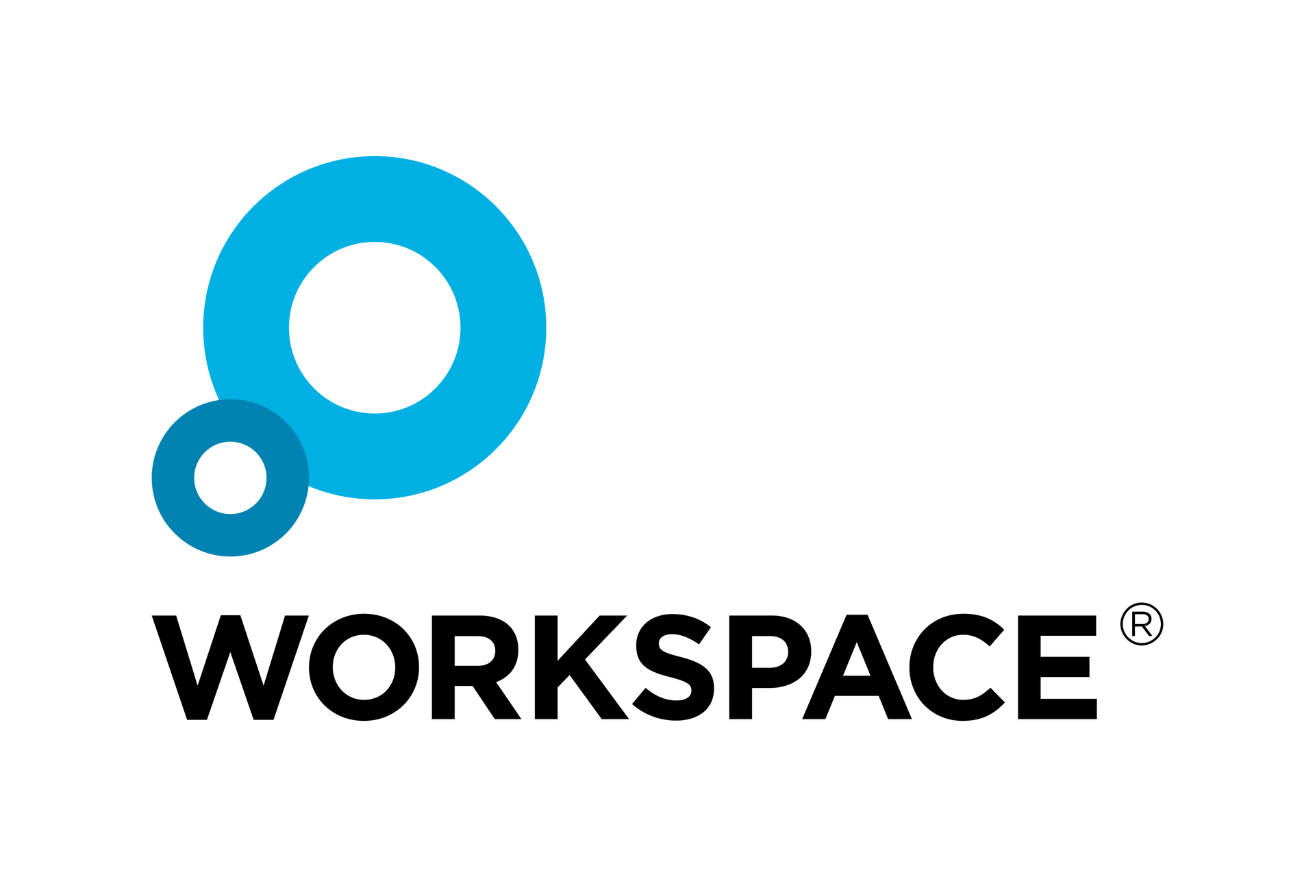 Blue circular logo above the word “WORKSPACE” on a white background