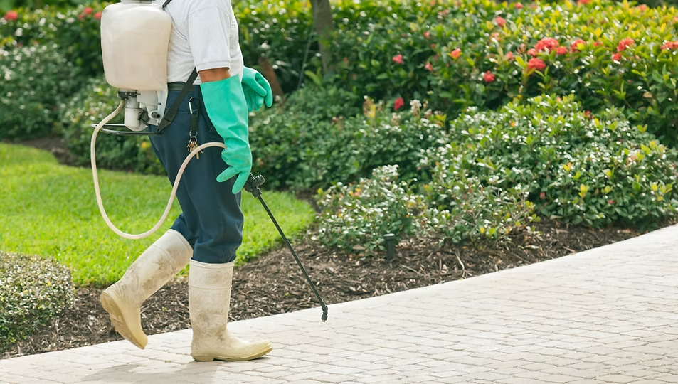 Worker in green gloves spraying plants along a garden path with a backpack sprayer