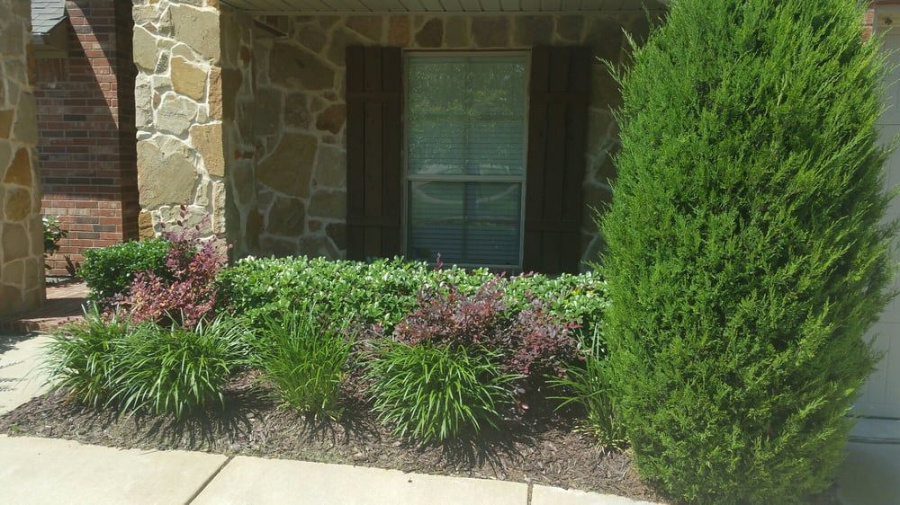 Front yard landscaping with shrubs and a stone house facade, including a window and walkway