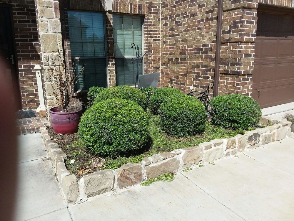 Brick house front with trimmed green shrubs, stone border, and a pink planter by the walkway