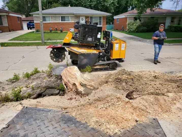 A man is standing next to a stump grinder in front of a house.