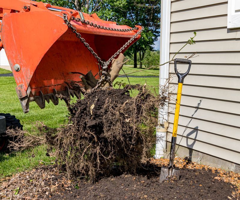 A shovel is being used to remove a tree stump from a yard.