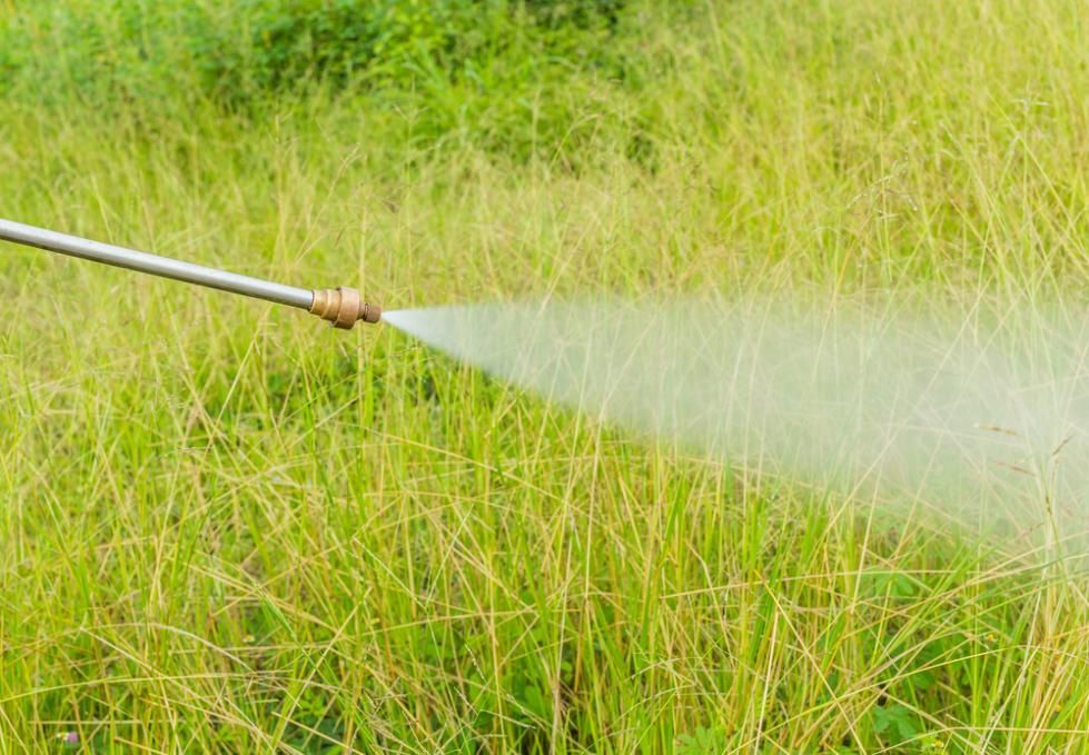 A Person Is Spraying a Field of Tall Grass with A Sprayer — Kempsey Produce & Saddlery in Kempsey, NSW