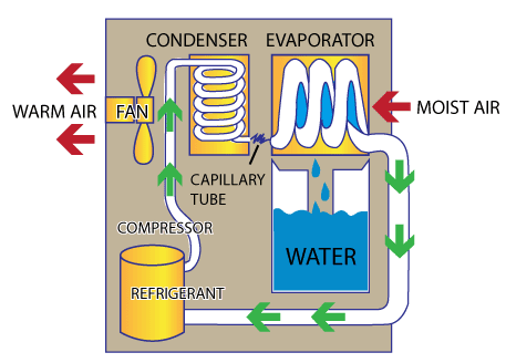 Diagram of a dehumidifiers cooling cycle: warm air exits, moist air enters, refrigerant circulates through a condenser, capillary tube, and evaporator.