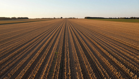 Farm Searches