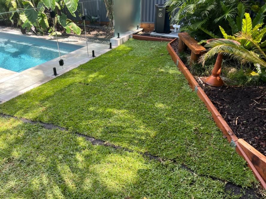 A Lush Green Lawn With A Swimming Pool In The Background — Lewis Landscapes In Wauchope, NSW