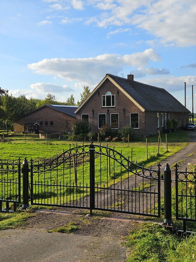 Weideveld