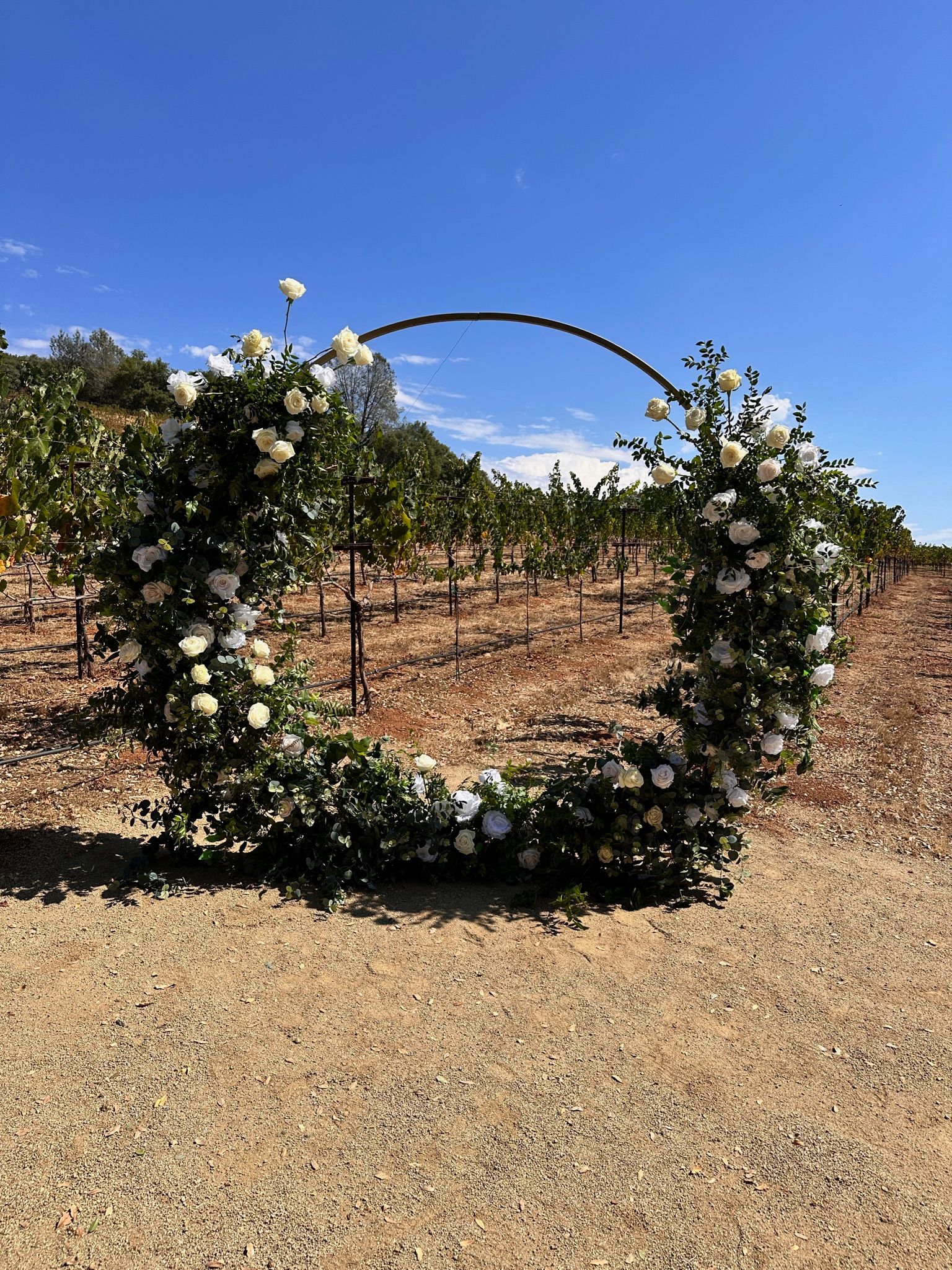 a circular arch with white flowers and greenery in a vineyard