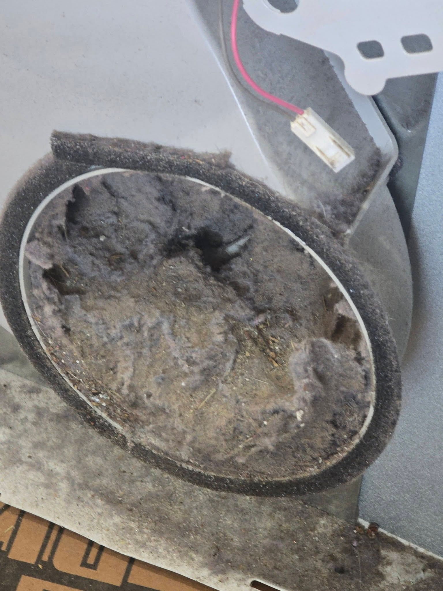 Technician cleaning a dryer vent