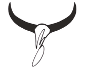 Black bull horns with a stylized 