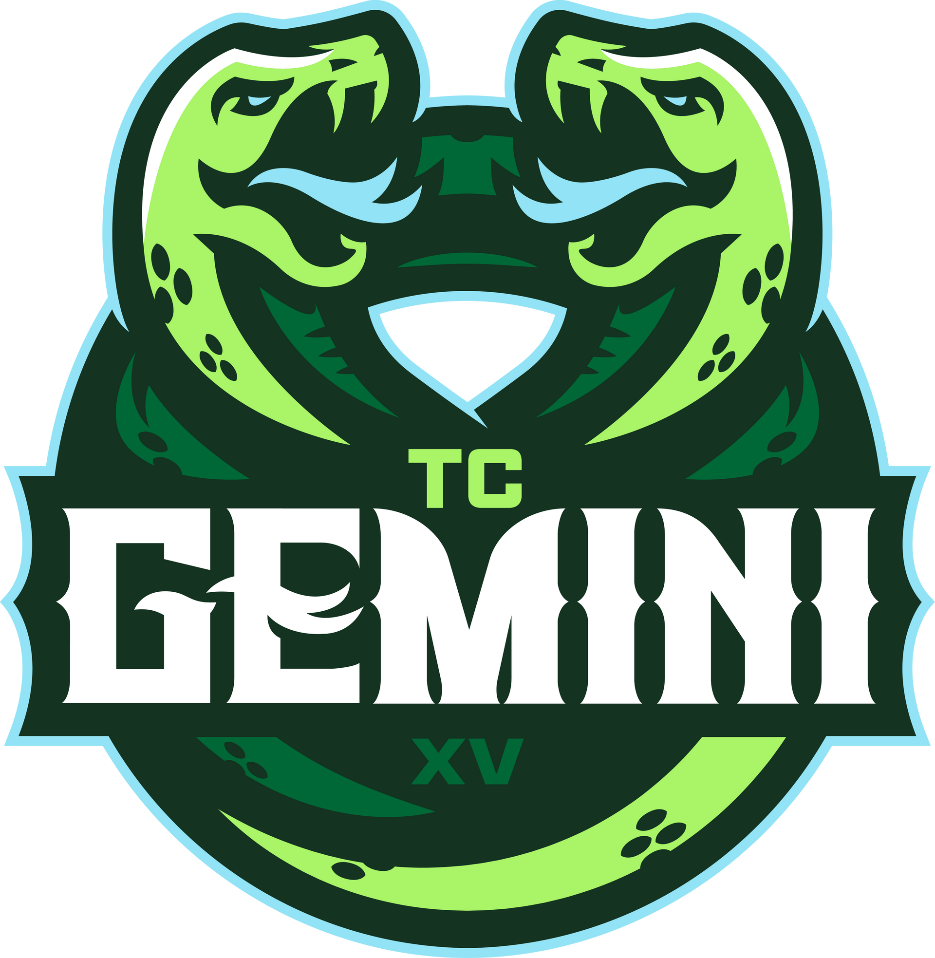 Twin Cities Gemini logo