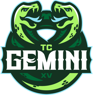 Twin Cities Gemini logo