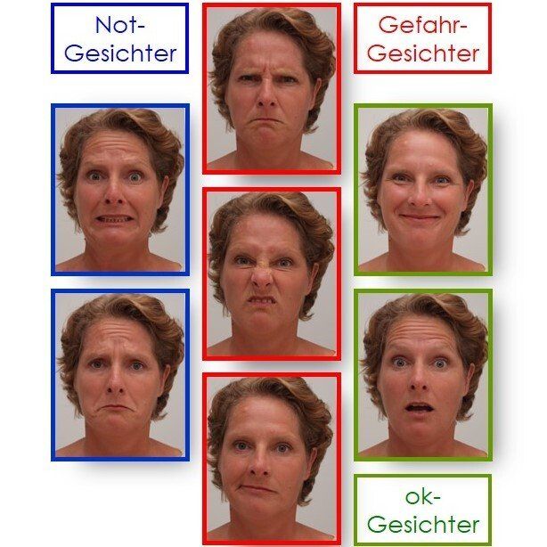 Mimik Gesichter