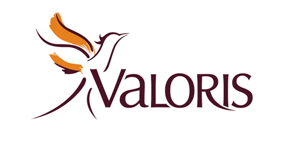 Un logo pour une entreprise appelée valoris avec un oiseau dessus