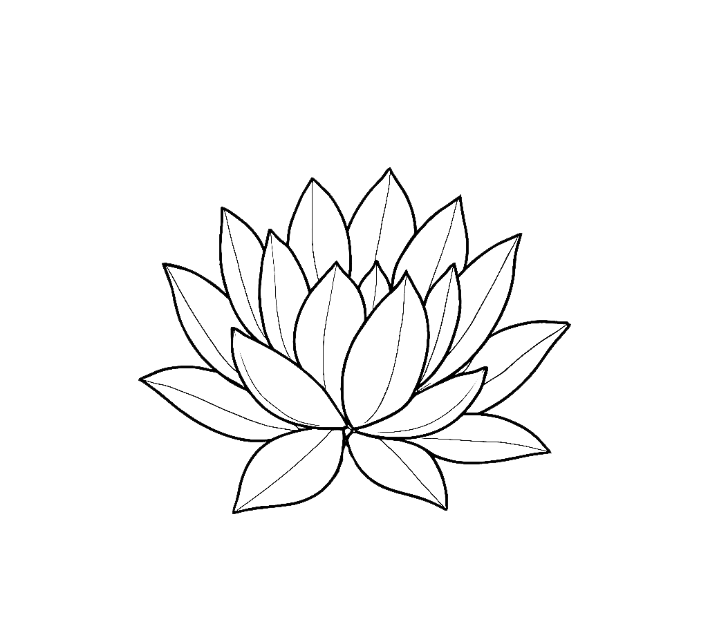 Lotus flower with multiple layered petals, drawn in black and white.