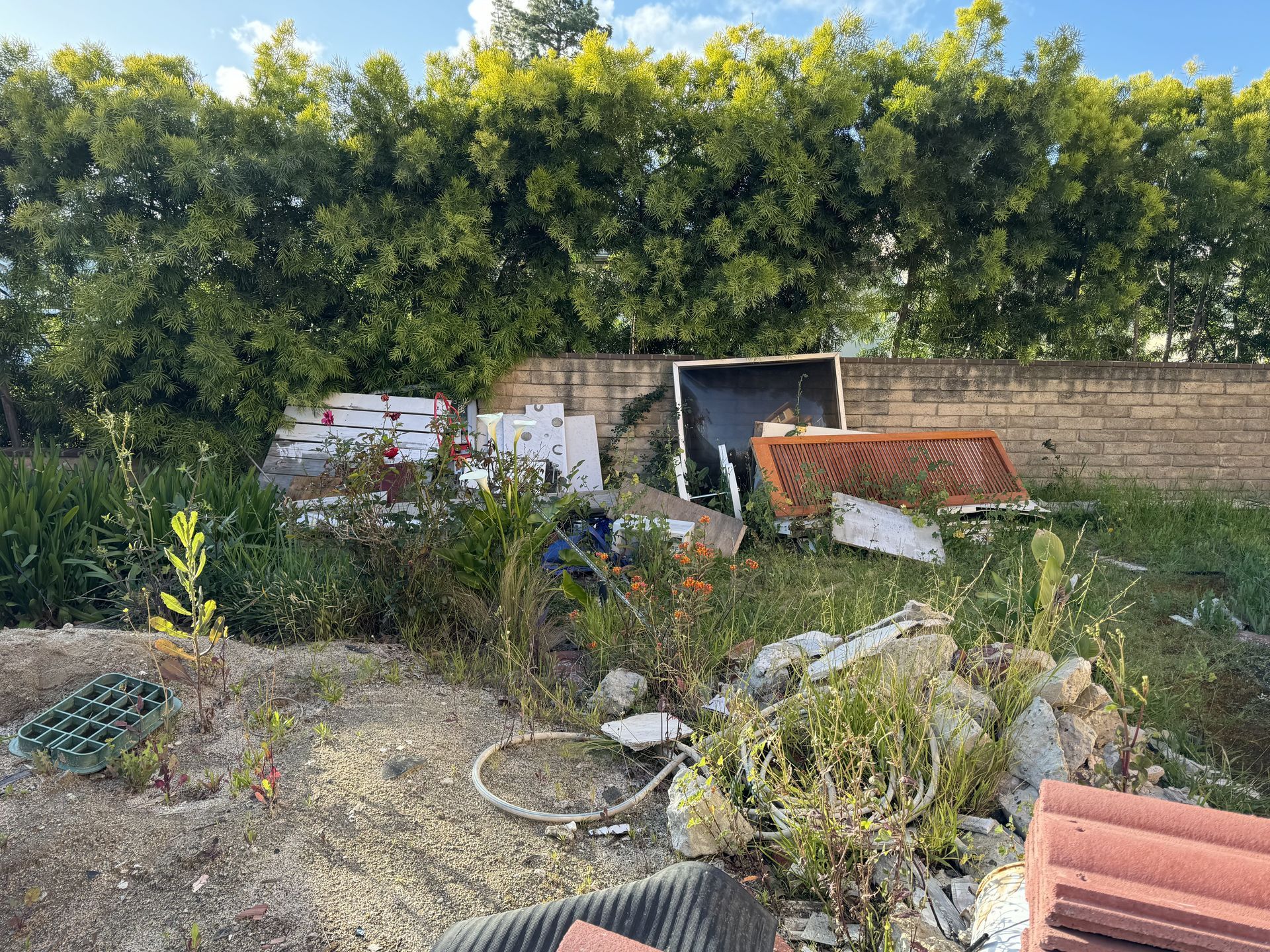 Overgrown backyard with scattered debris, a wall, and stacked construction materials under trees
