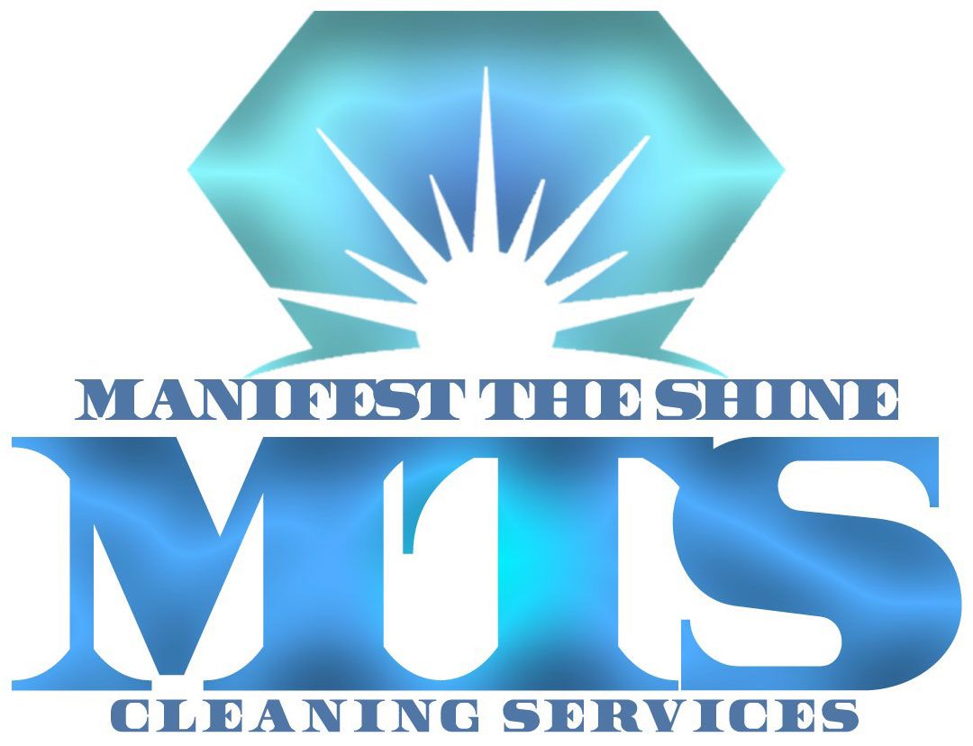 Manifest the Shine LLC Manifest the Shine LLC