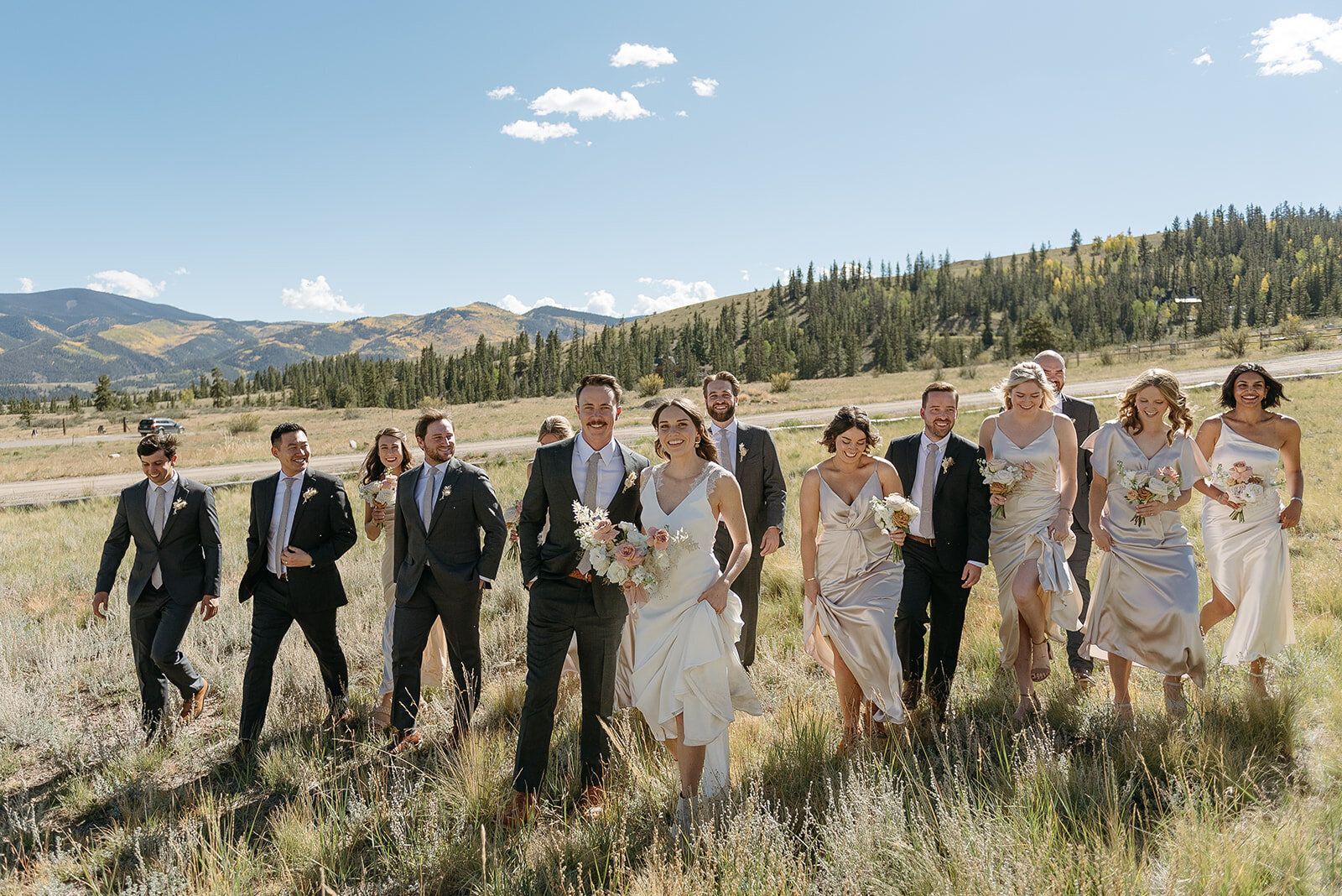 Wedding party walking through a sunlit meadow with mountains in the background
