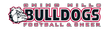 Logo for league