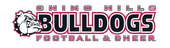 Logo for league