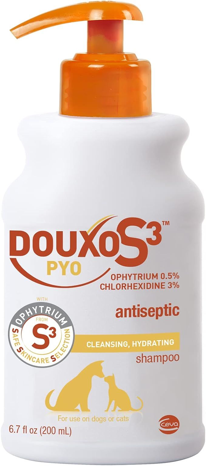 A bottle of douxos 3 pyo antiseptic shampoo for dogs and cats.