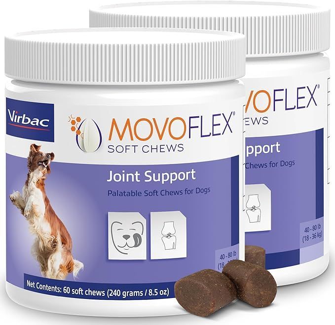 A dog is standing on its hind legs next to a jar of joint support chews for dogs.