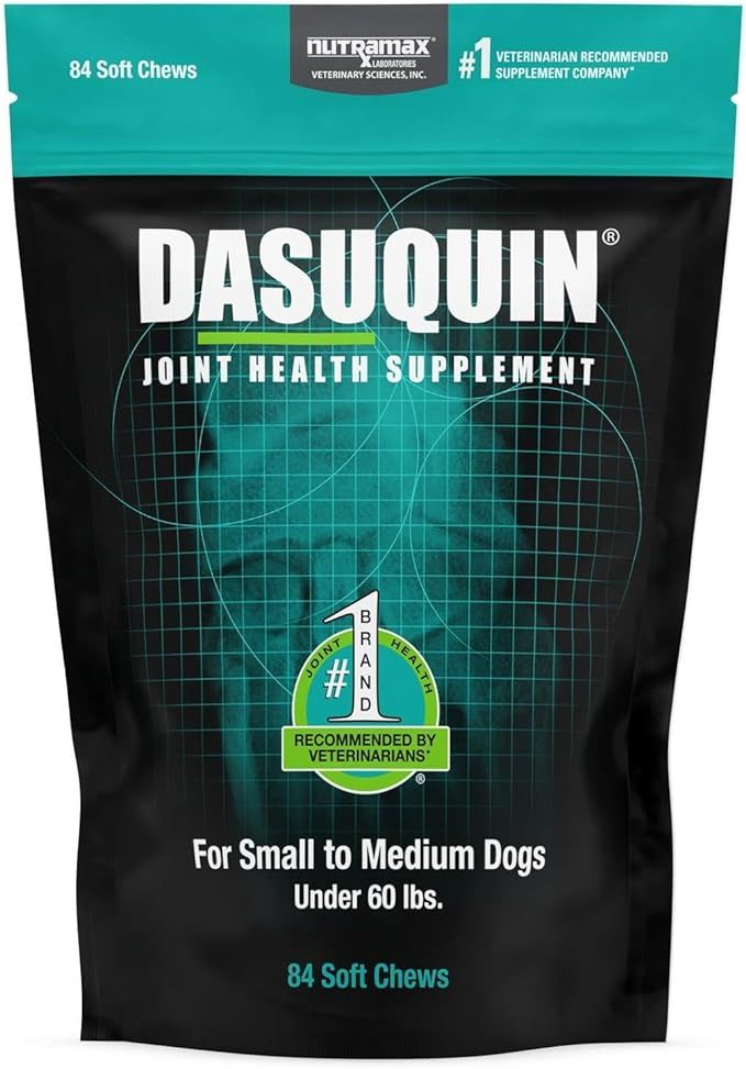 a bottle of chlorhexidine shampoo for dogs and cats .