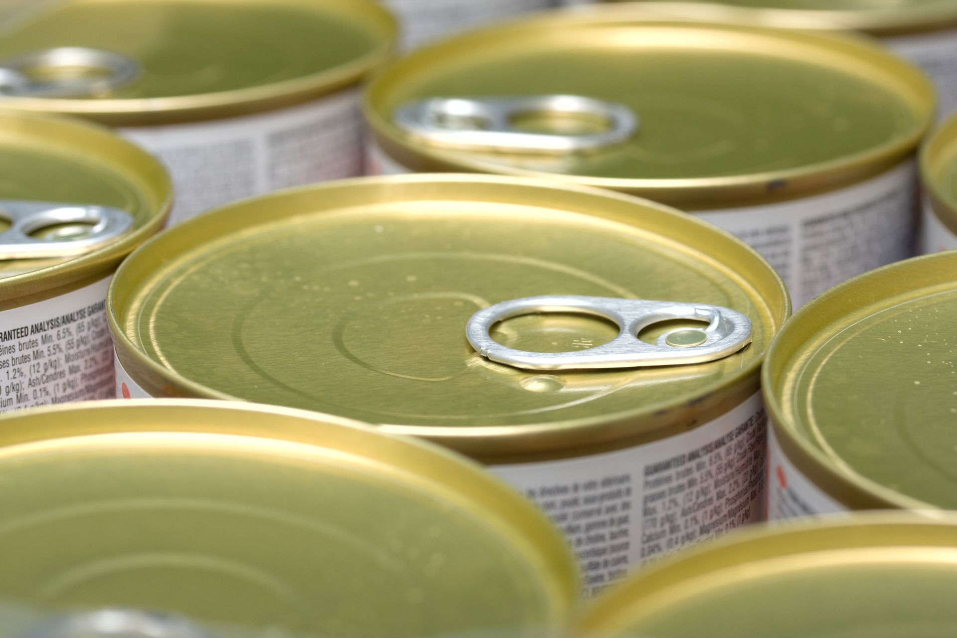 canned food stocks for quarantine isolation period