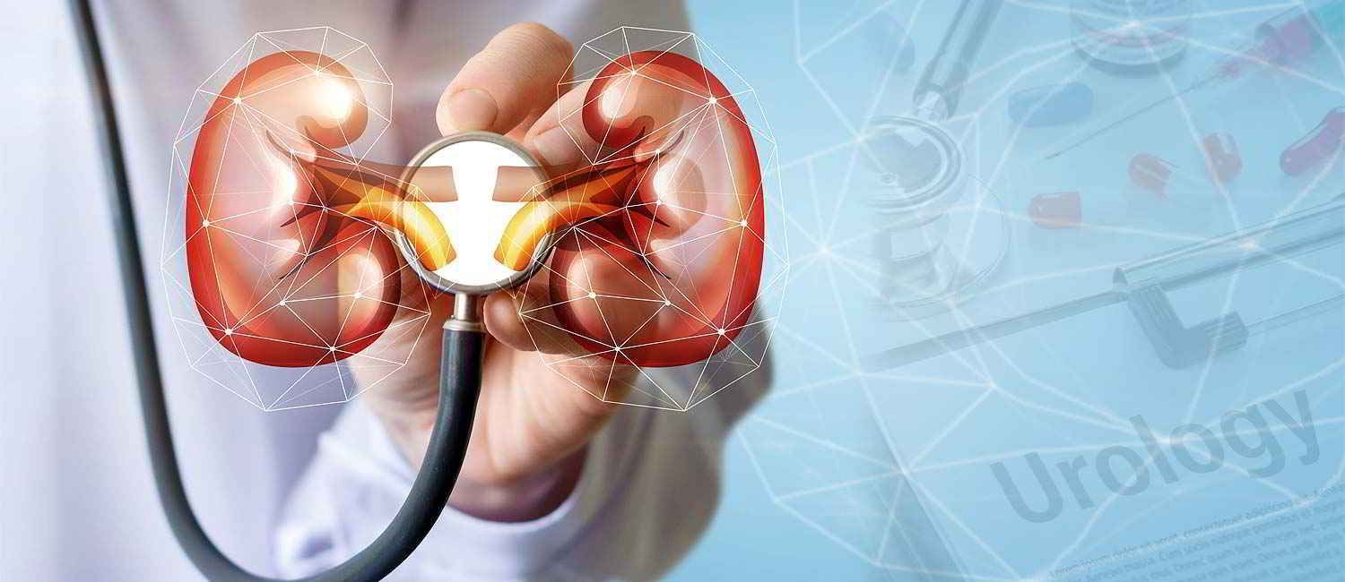 La mano de un médico sostiene un estetoscopio sobre un diagrama luminoso de los riñones. En una esquina se lee