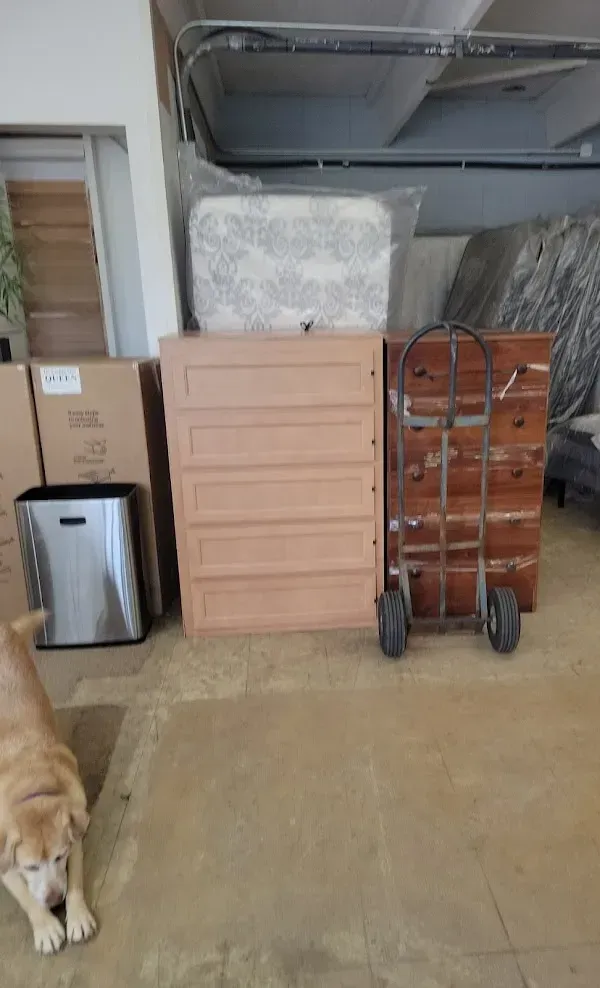 Garage with stacked boxes, a pink drawer unit, a hand truck, and a dog lying at left.
