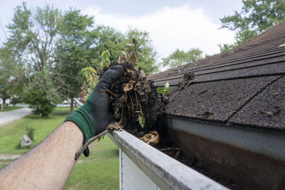 Person Wearing A Green And Black Glove Cleaning A Gutter — Your Garden in Charnwood, ACT