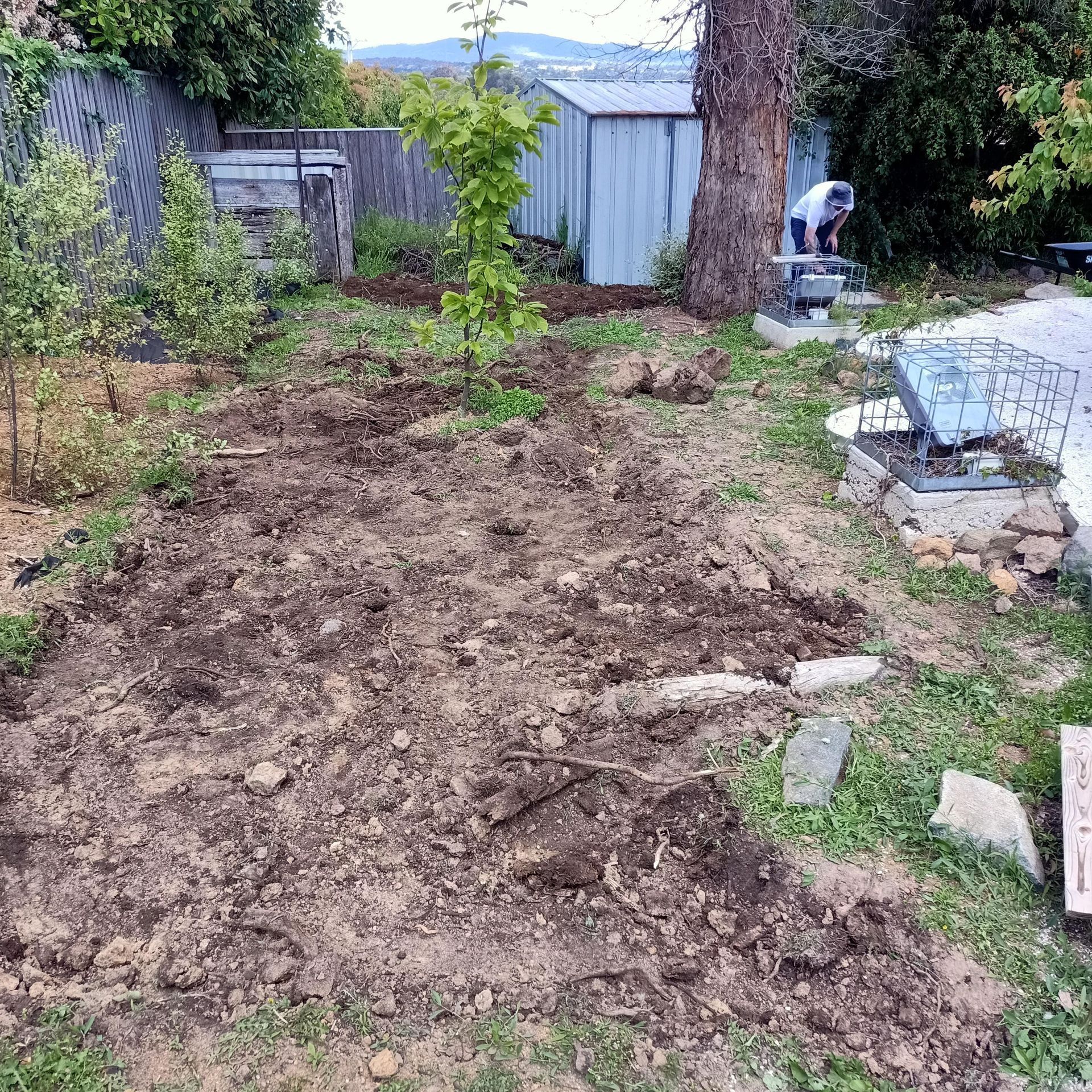 A person works in a residential backyard near a tilled soil garden patch, a shed, and trees under a cloudy sky. — Your Garden in Charnwood, ACT