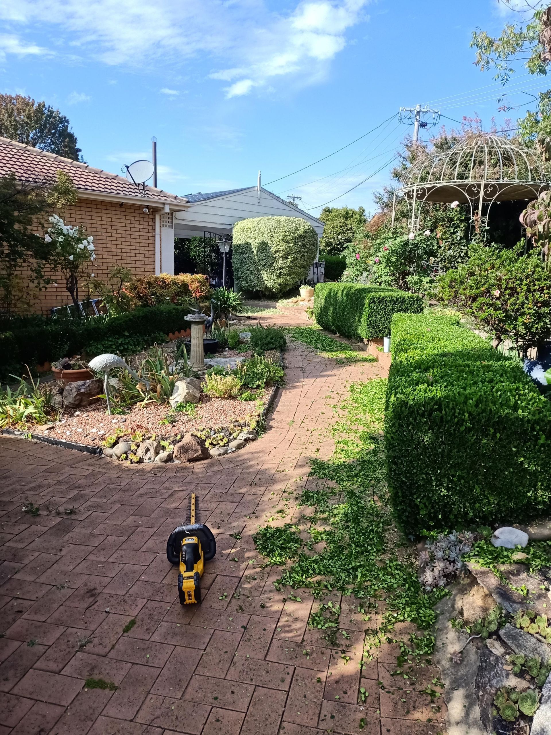 Before and after photos showing a hedge that has been trimmed to reveal the house roof behind it. — Your Garden in Gungahlin, ACT
