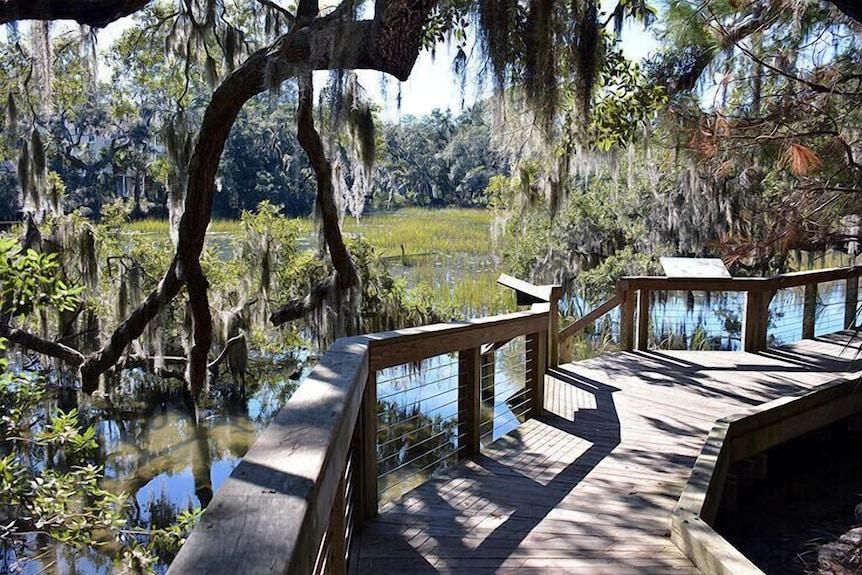 Marsh Landing