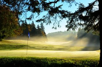 Golf course on a foggy morning, with a blue flag, trees, and sunlight streaming through the mist.