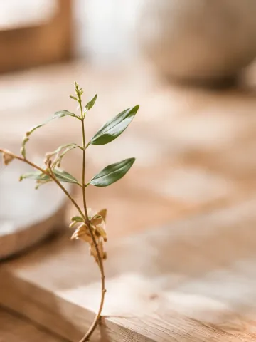 Petite pousse verte sur une table en bois avec un arrière-plan légèrement flou.