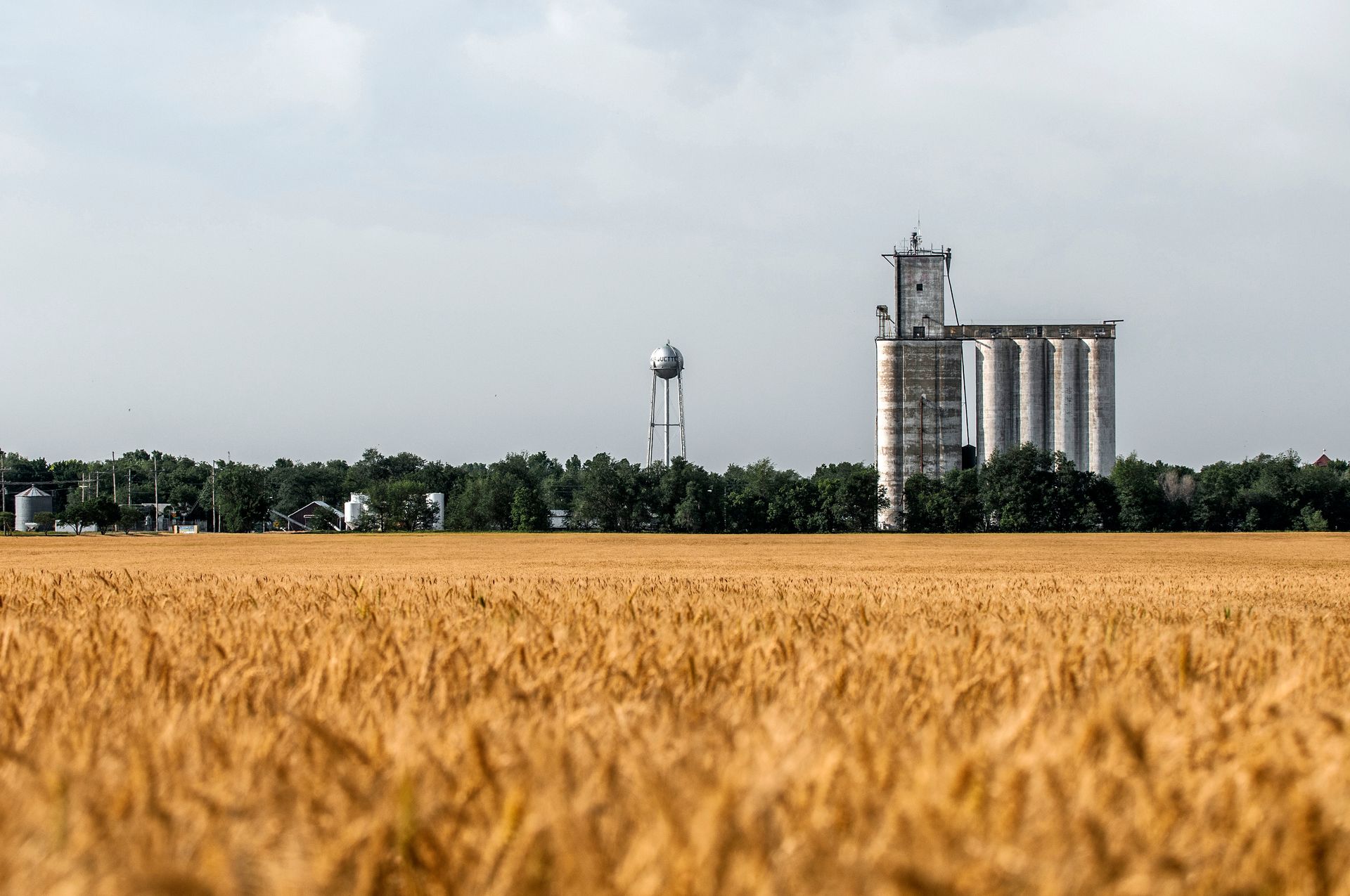 A vast, golden wheat field under a light sky, with a tall grain silo and a water tower visible in the background.
