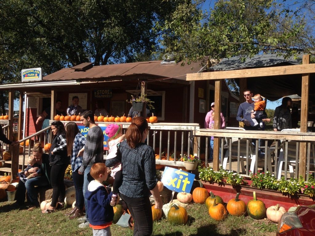 People gather at a farm stand decorated with pumpkins for an autumn event, with an