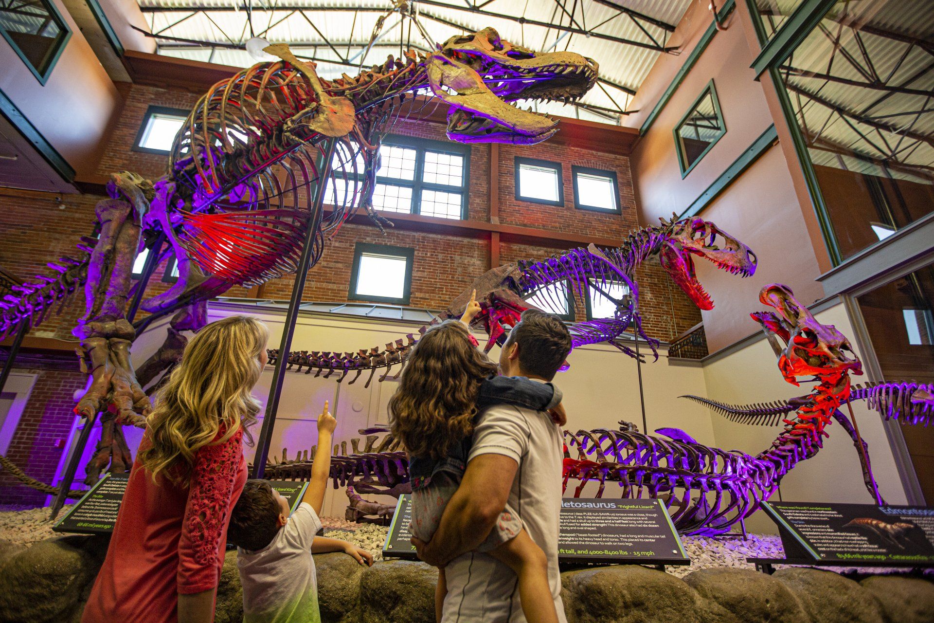 A family stands in a museum looking up at large, colorful dinosaur skeletons illuminated by purple and red lighting.