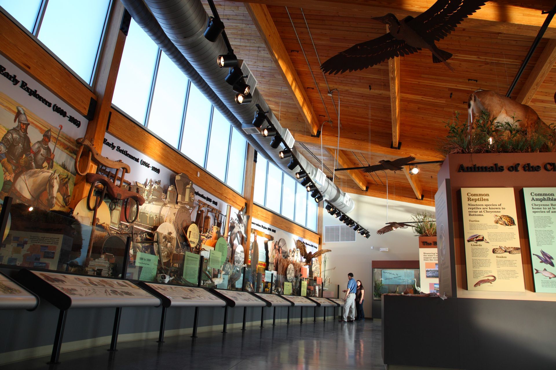 The interior of a museum gallery with high, wood-paneled ceilings, large windows, wall displays, and suspended exhibits.