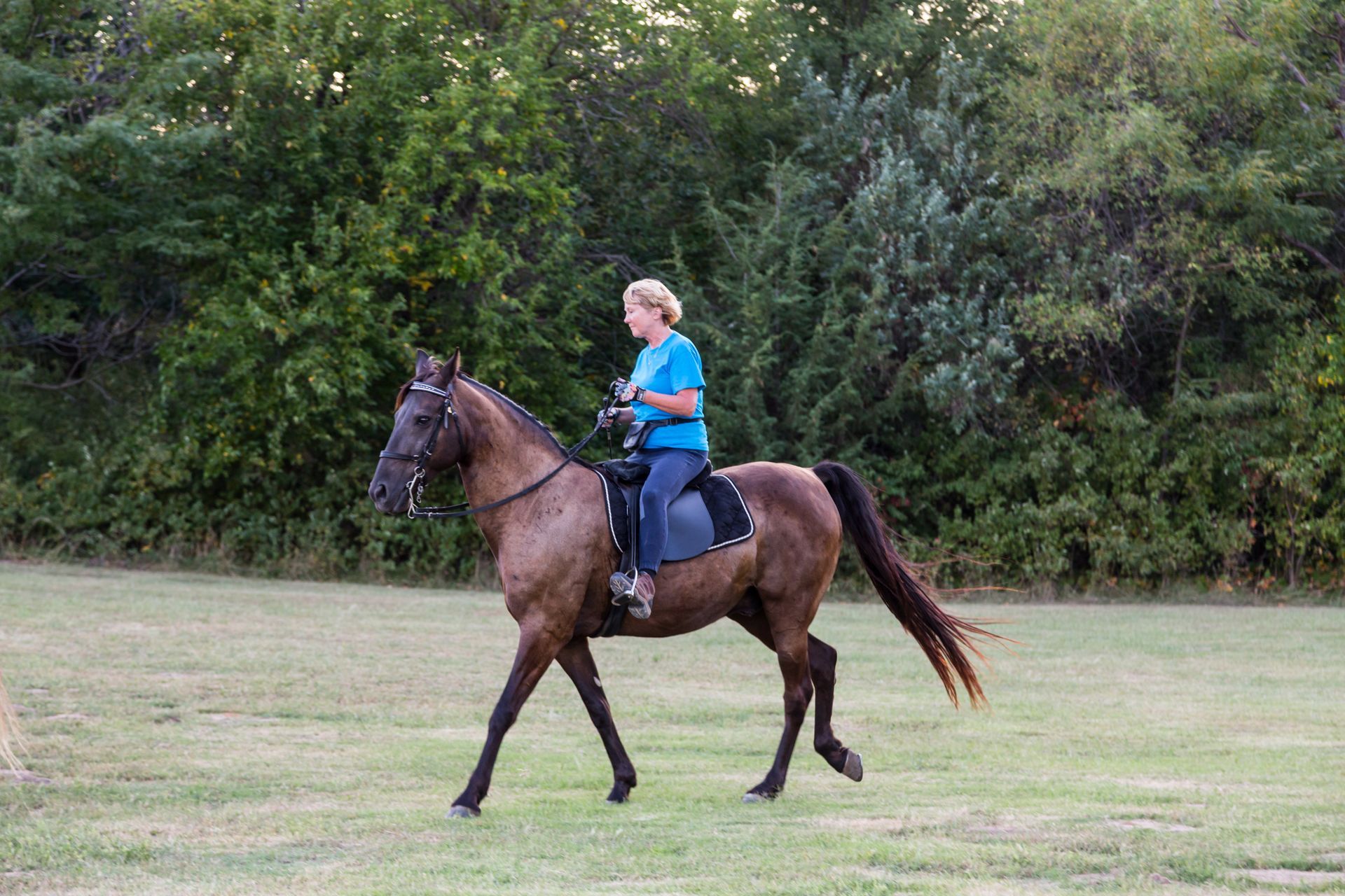 A person wearing a blue shirt rides a brown horse across a grassy field in front of a tree line.