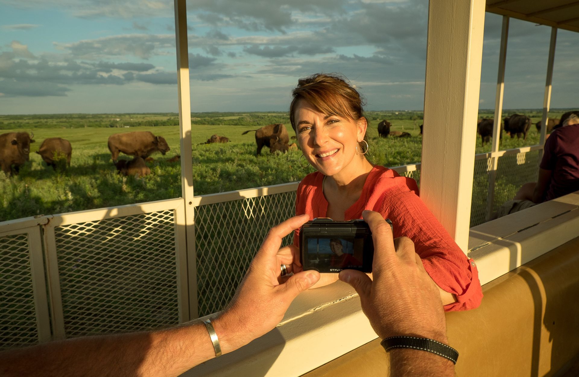 A person takes a photo of someone smiling while standing on an open-air safari vehicle in a field of grazing bison.
